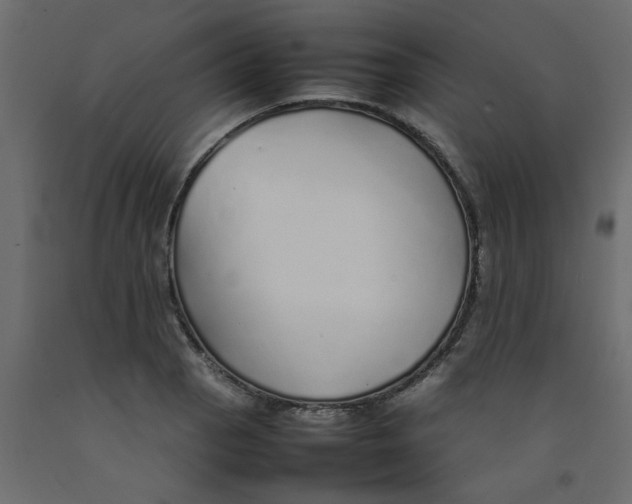 X0000092101129200710101116