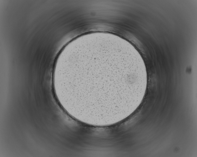 X0000092101130200710101116