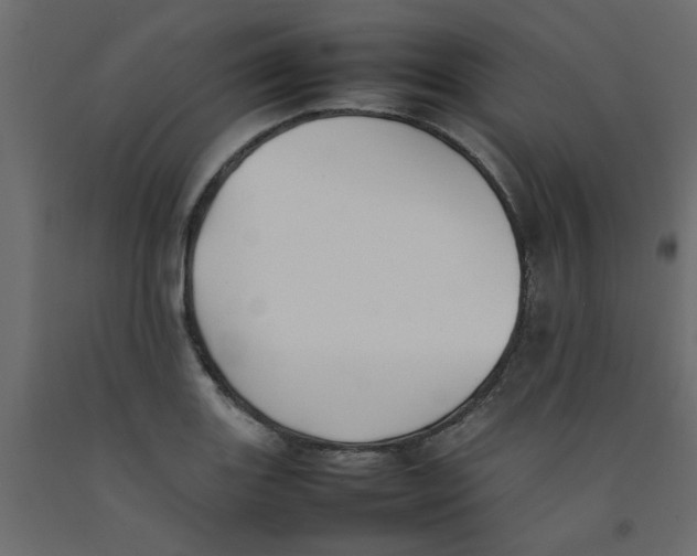 X0000092101131200710101116