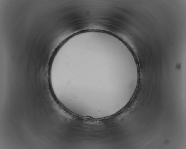 X0000092101133200710101116