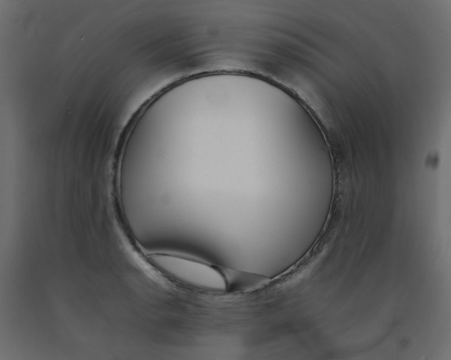 X0000092101134200710101116