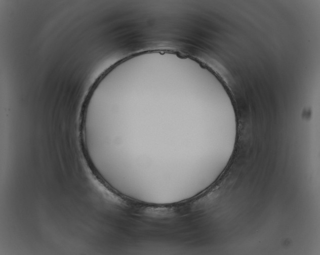 X0000092101135200710101116