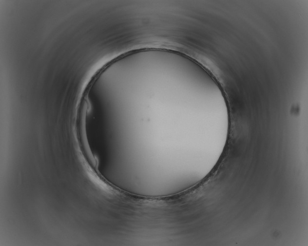 X0000092101136200710101116