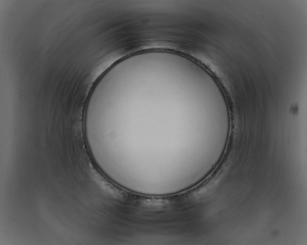 X0000092101137200710101116