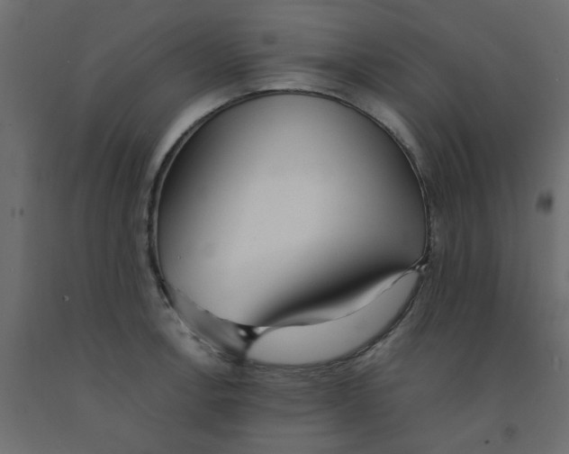 X0000092101138200710101116