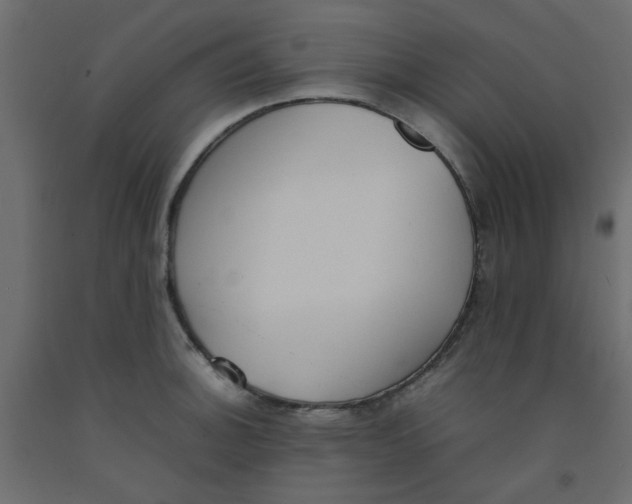 X0000092101140200710101116