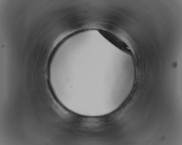 X0000092101141200710101116