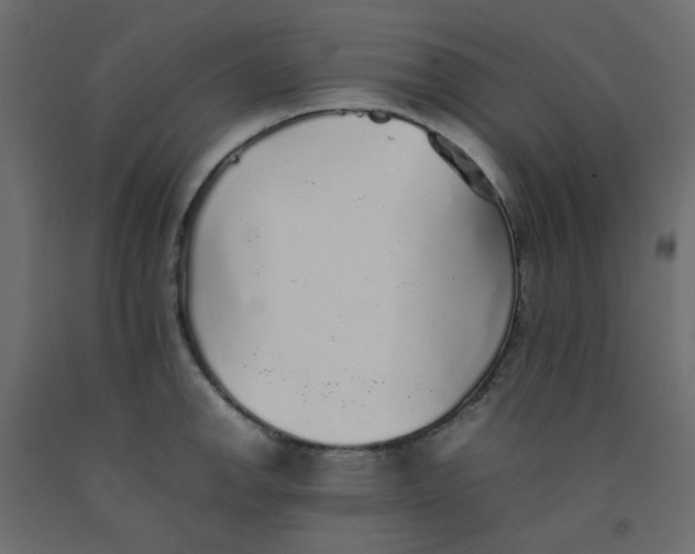 X0000092101142200710101116