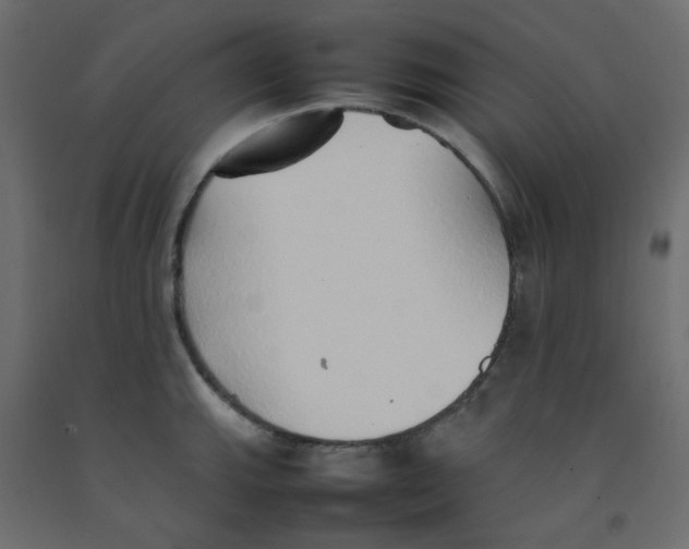 X0000092101143200710101116