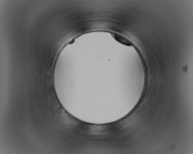 X0000092101145200710101116