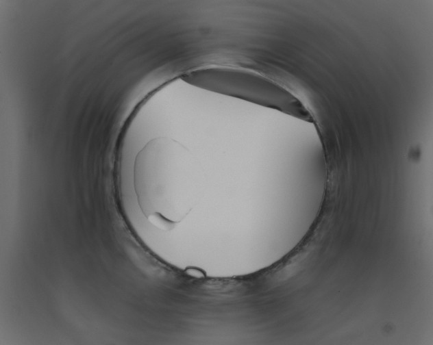 X0000092101146200710101116