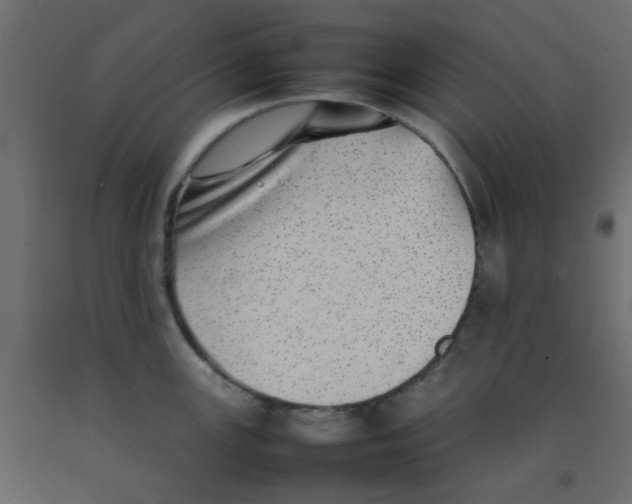 X0000092101147200710101116