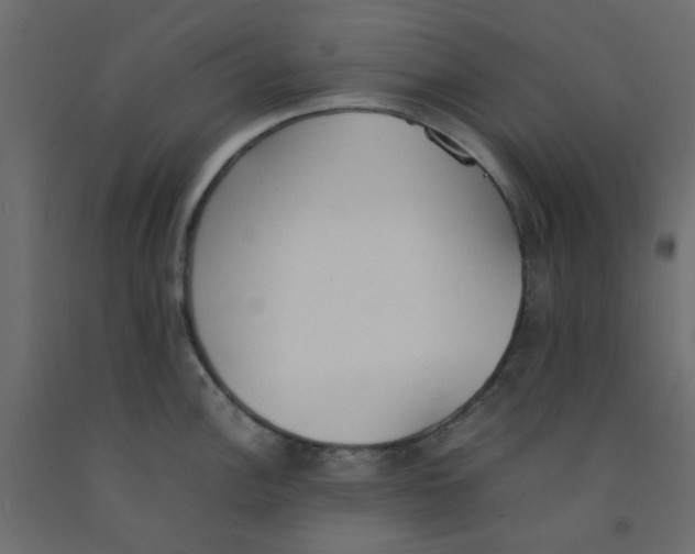 X0000092101148200710101116