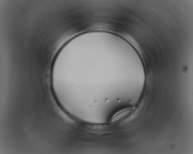 X0000092101149200710101116