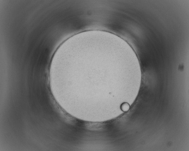 X0000092101150200710101116