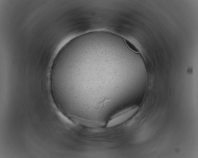 X0000092101151200710101116