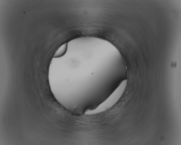 X0000092101153200710101116