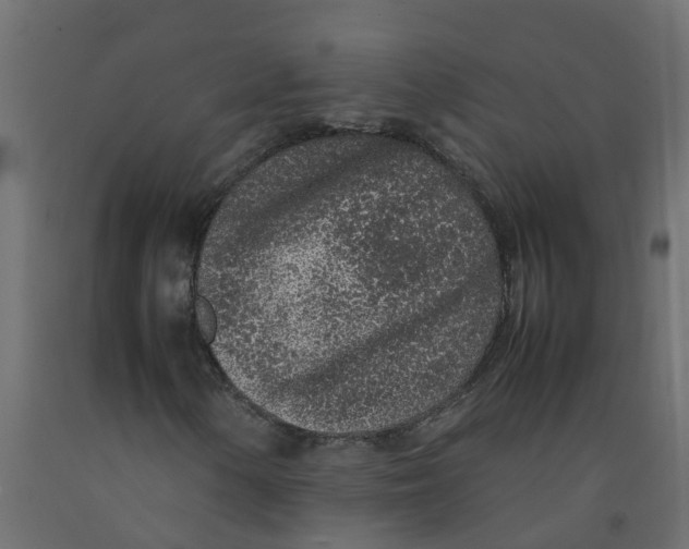 X0000092101154200710101116