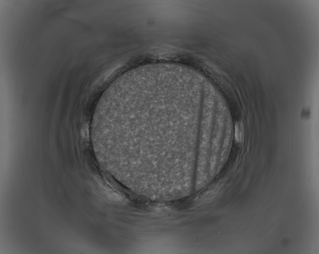 X0000092101155200710101116