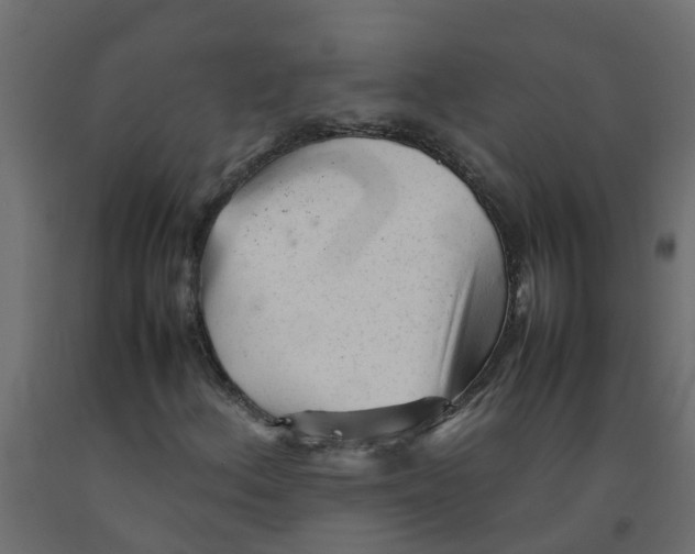 X0000092101156200710101116