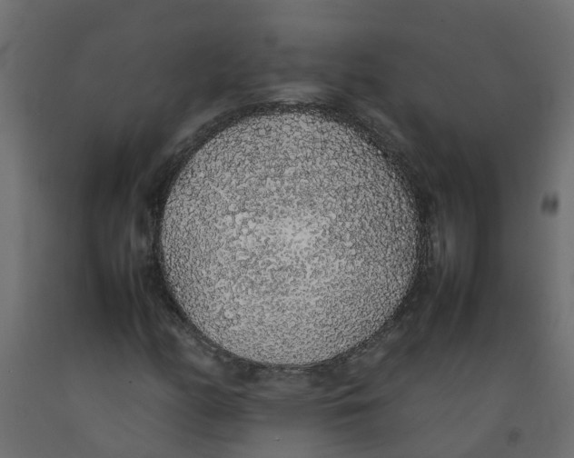 X0000092101158200710101116