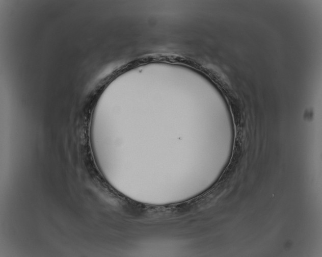 X0000092101159200710101116