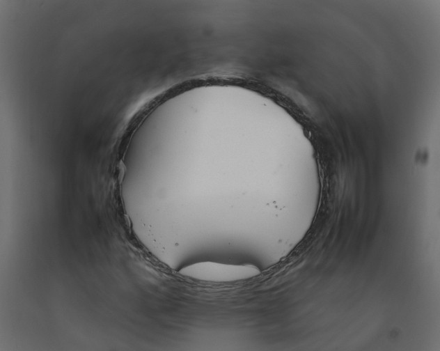 X0000092101160200710101116