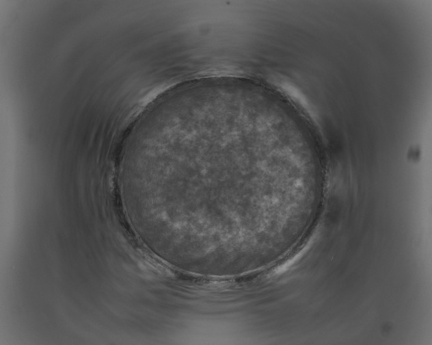 X0000092101161200710101116