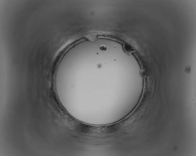 X0000092101165200710101116