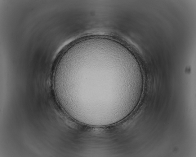 X0000092101166200710101116