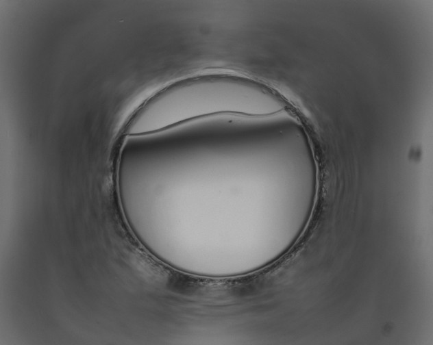 X0000092101167200710101116