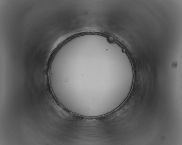 X0000092101168200710101116