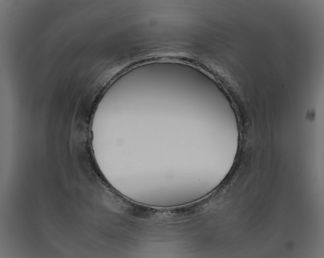 X0000092101169200710101116