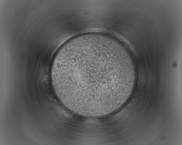 X0000092101170200710101116