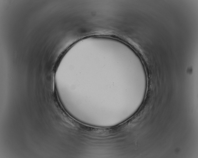 X0000092101171200710101116