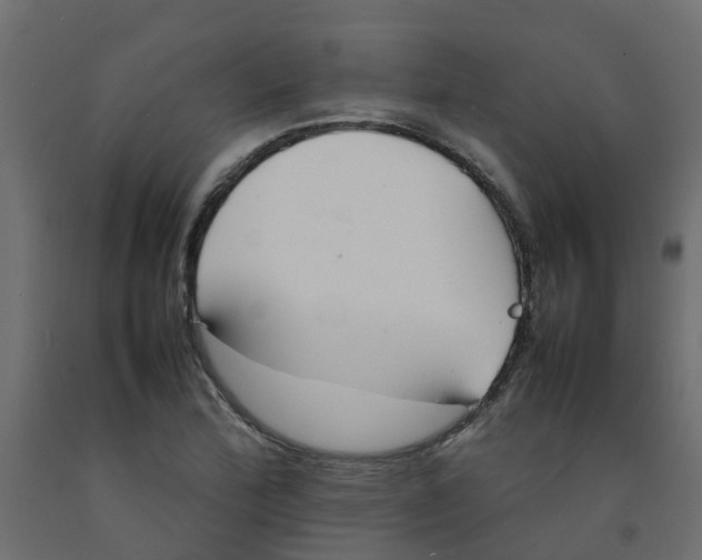 X0000092101172200710101116