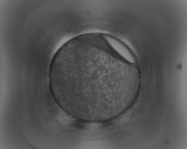 X0000092101173200710101116