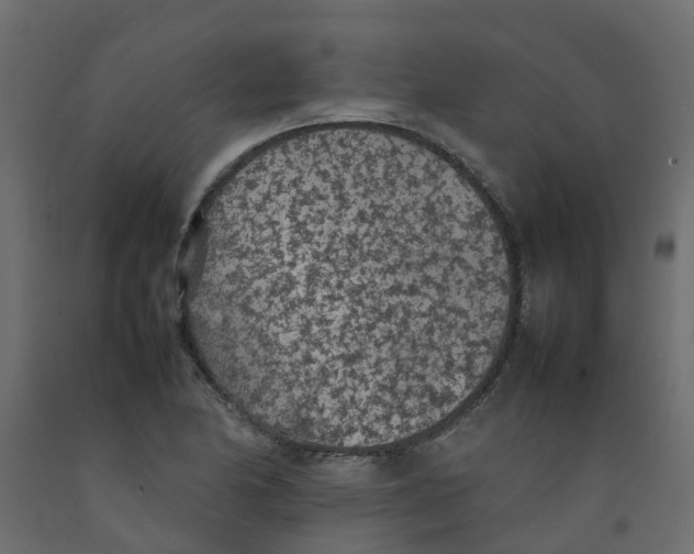 X0000092101174200710101116