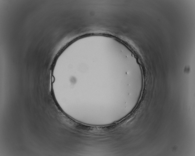 X0000092101175200710101116