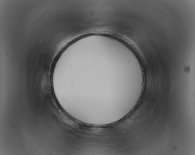 X0000092101176200710101116