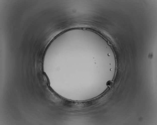 X0000092101177200710101116