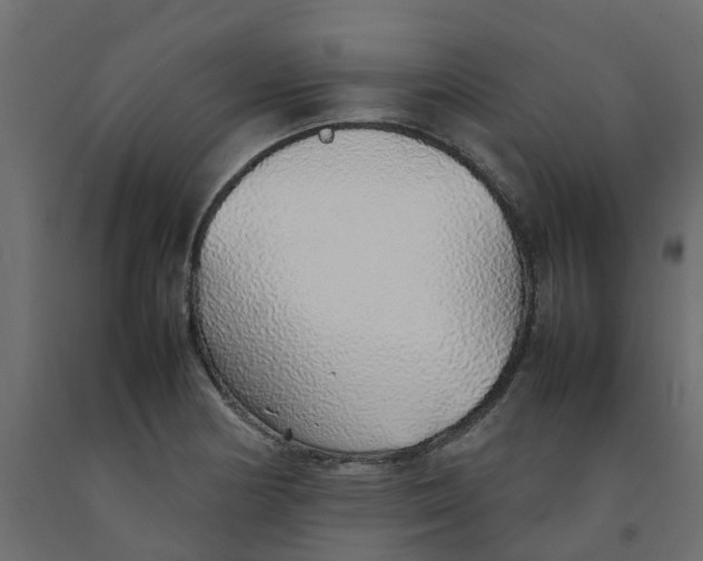 X0000092101178200710101116