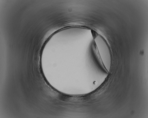 X0000092101179200710101116