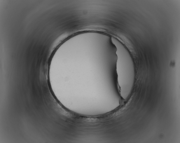 X0000092101180200710101116