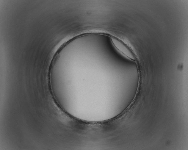 X0000092101181200710101115