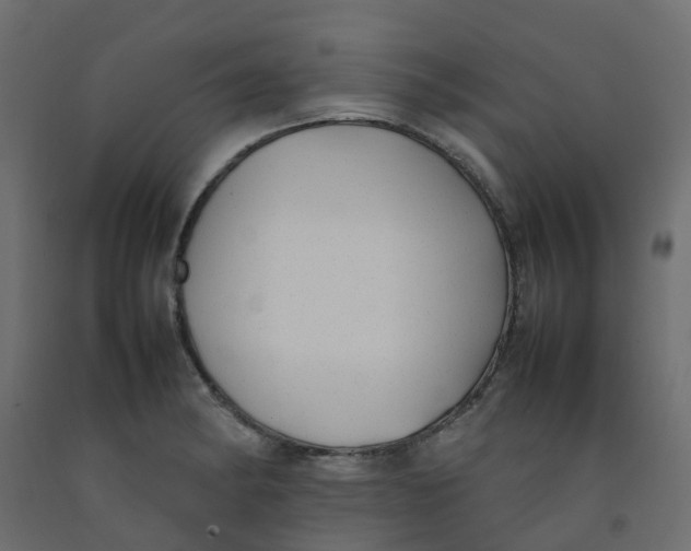 X0000092101182200710101115