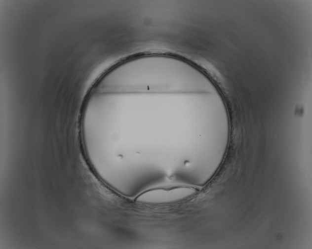 X0000092101183200710101115