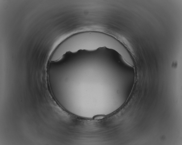 X0000092101184200710101115