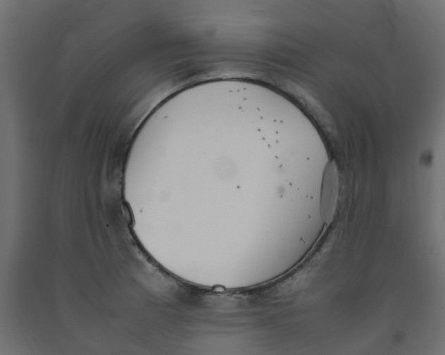 X0000092101185200710101115