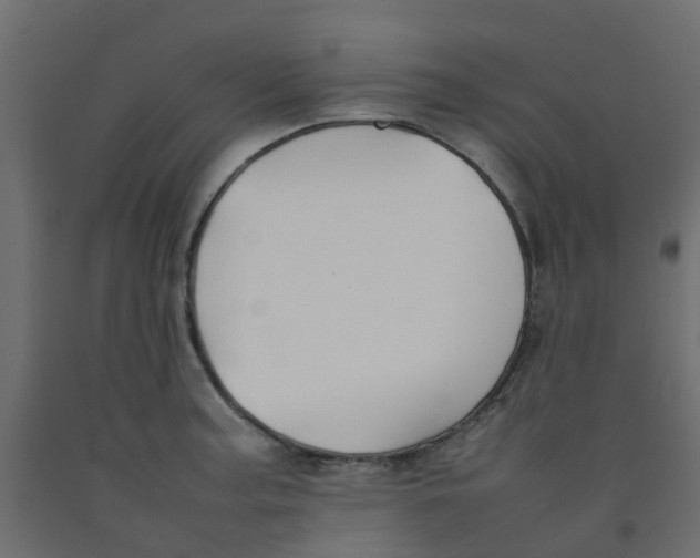 X0000092101187200710101115